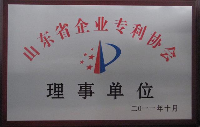 山東省企業(yè)專(zhuān)利協(xié)會(huì)理事單位